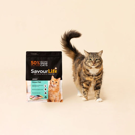 Savourlife Ocean Fish Adult Cat Dry Food