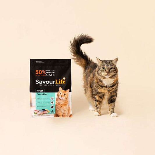 Savourlife Ocean Fish Adult Cat Dry Food