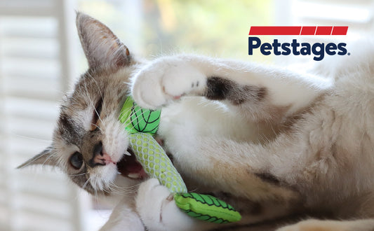 Petstages Cat Fresh Breath Mint Stick Green