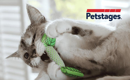 Petstages Cat Fresh Breath Mint Stick Green