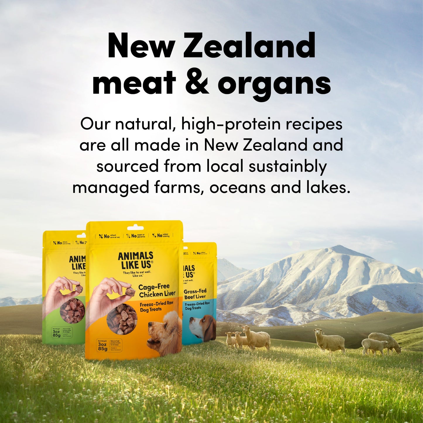 Animals Like Us Dog Lamb Tripe Freeze-Dried Raw Treat 60G