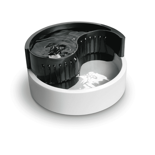 Pioneer Fung Shui Pet Drinking Fountain