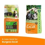 Burgess Excel Adult Guinea Pig Nuggets Mint 1.5Kg