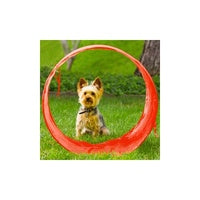 ZipZoom Agility Kit Outdoor by Outward Hound