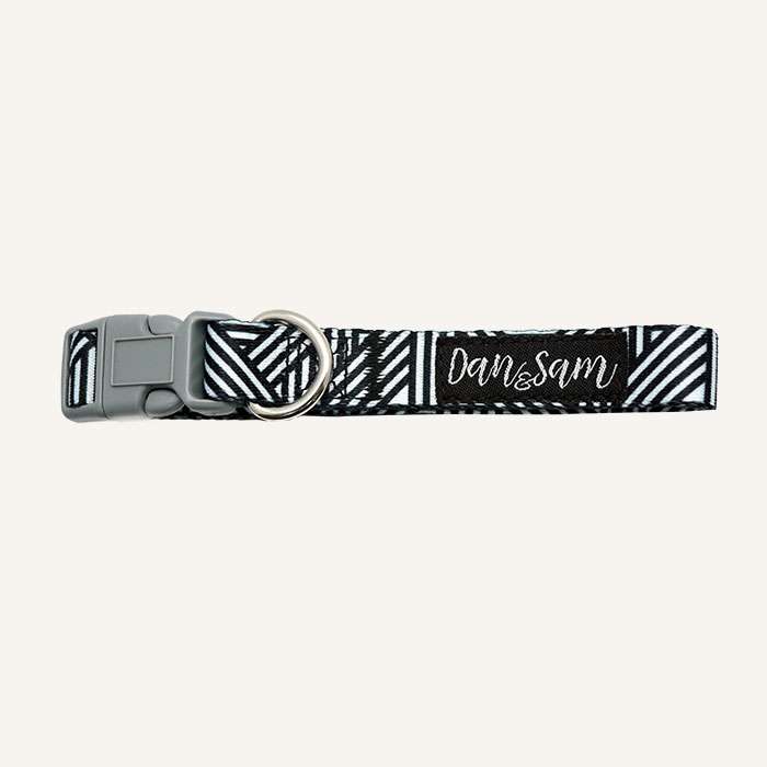 Dan & Sam – Dog Collars & Leads – Abstract