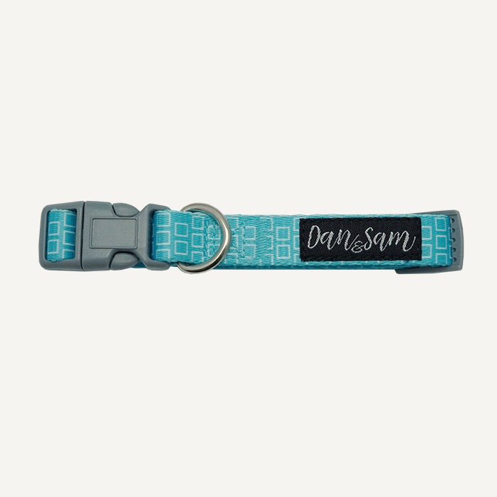 Dan & Sam – Dog Collar's & Leads – Grooving