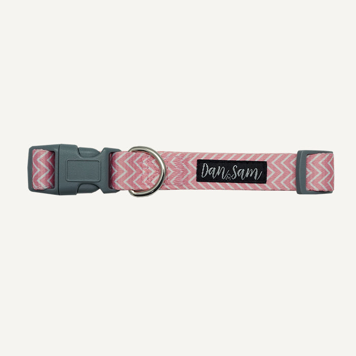 Dan & Sam – Dog Collars & Leads – Candy Floss