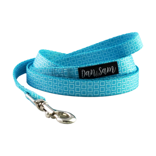 Dan & Sam – Dog Collar's & Leads – Grooving