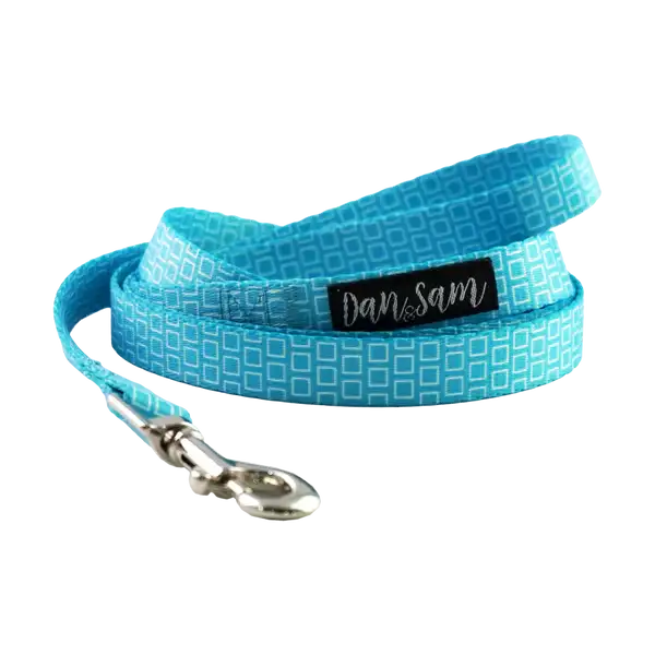 Dan & Sam – Dog Collar's & Leads – Grooving