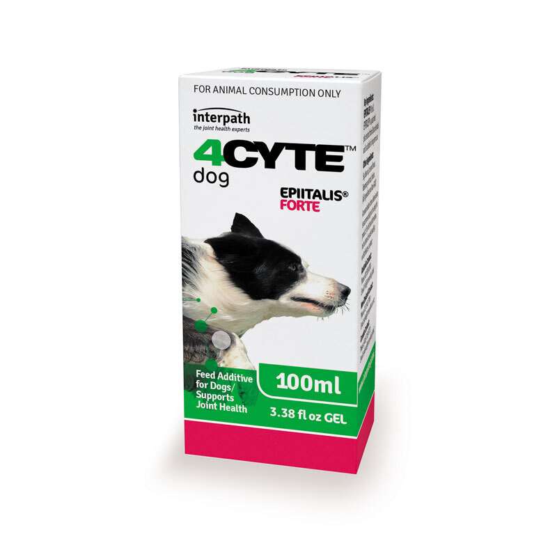4CYTE EPIITALIS Forte Gel - treatment of acute joint disease, injury and pain.