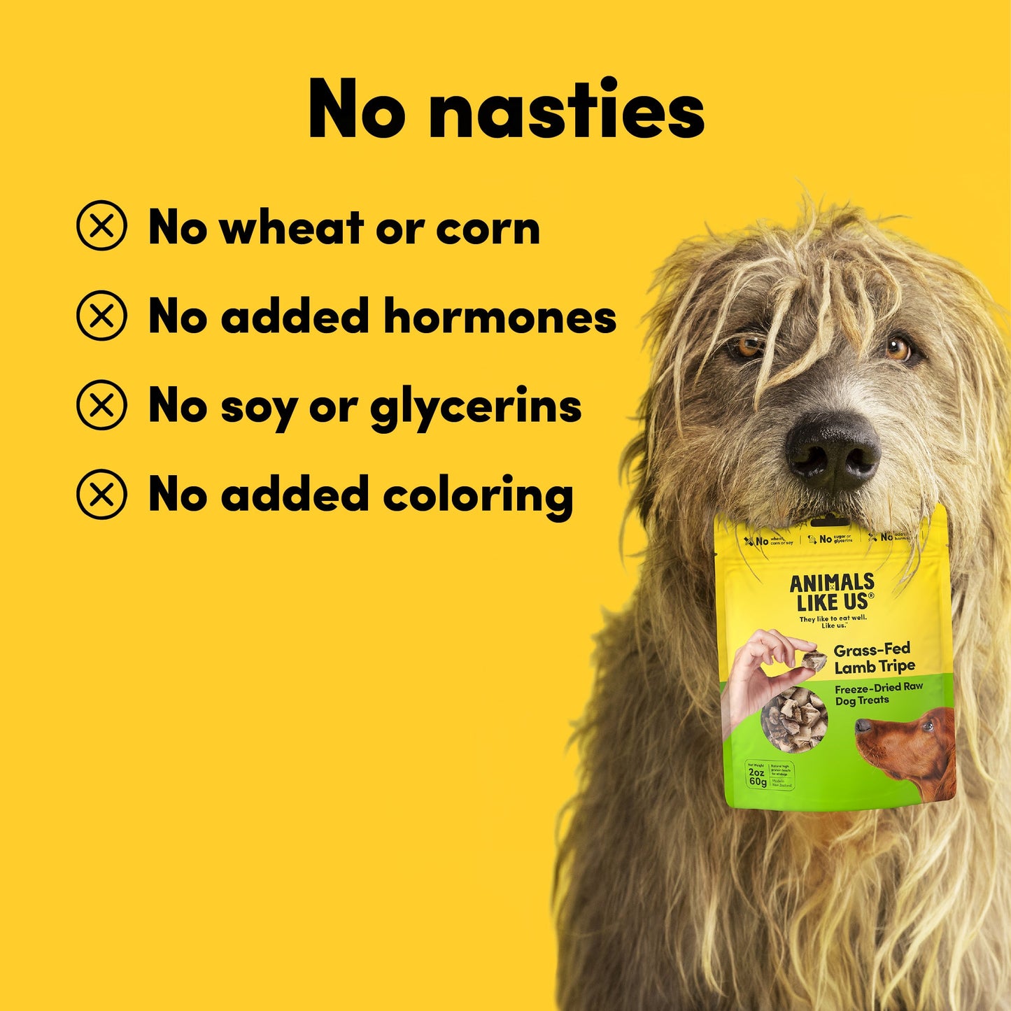 Animals Like Us Dog Lamb Tripe Freeze-Dried Raw Treat 60G