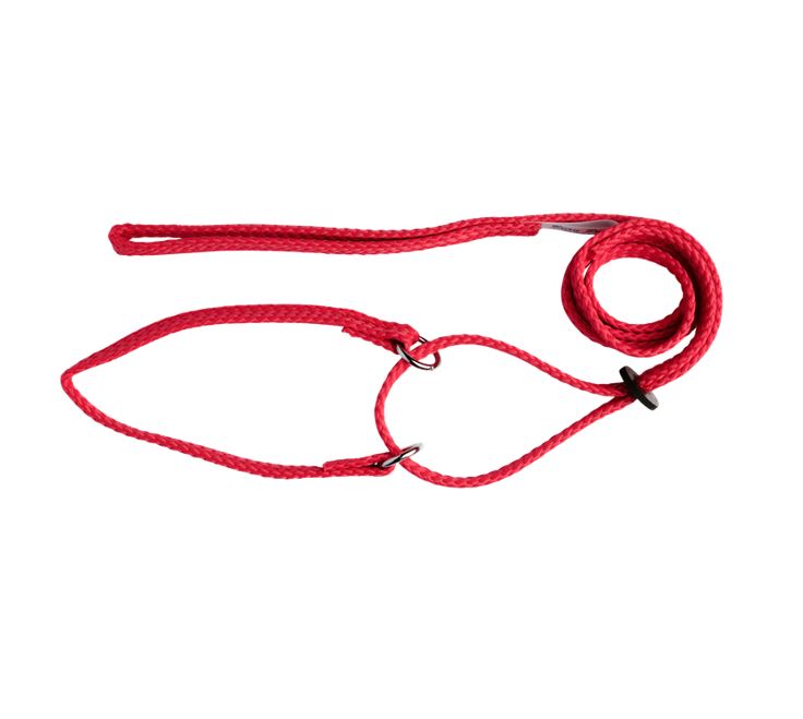 Beau Pets – Martingale Show Lead 120cm