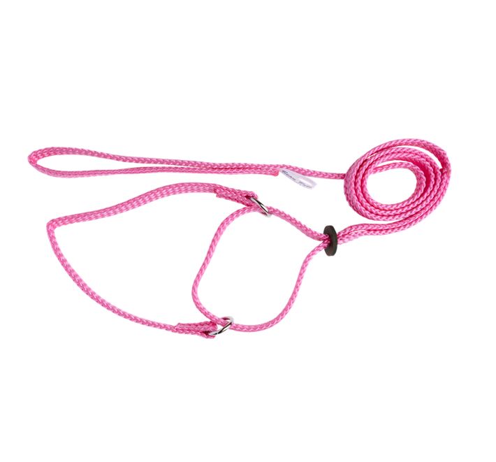 Beau Pets – Martingale Show Lead 120cm