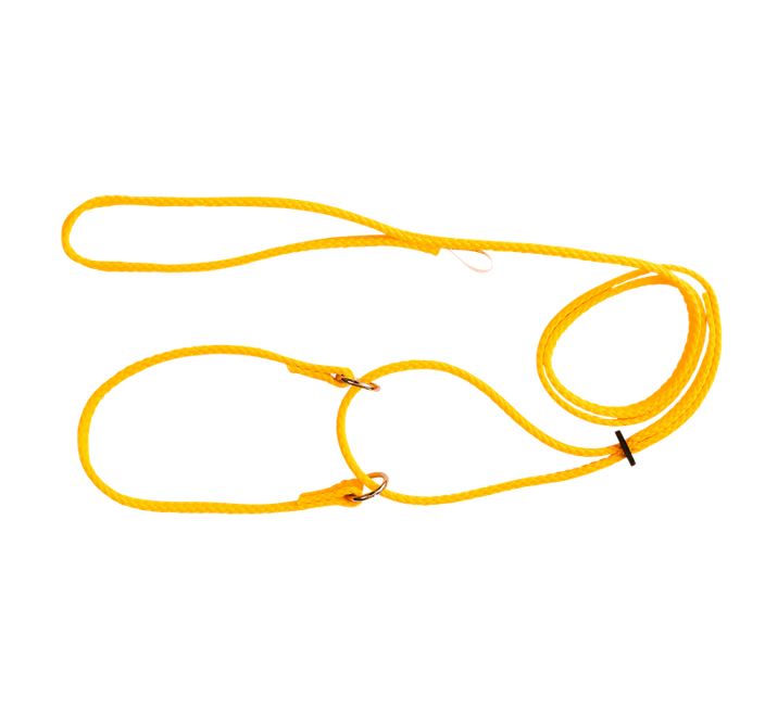 Beau Pets – Martingale Show Lead 120cm