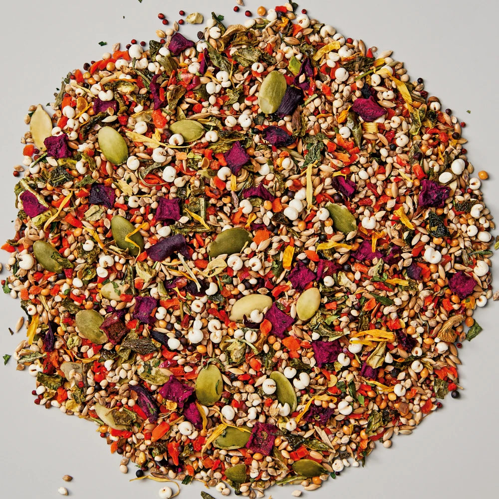 Whistler Budgie Gourmet Blend 1.2Kg