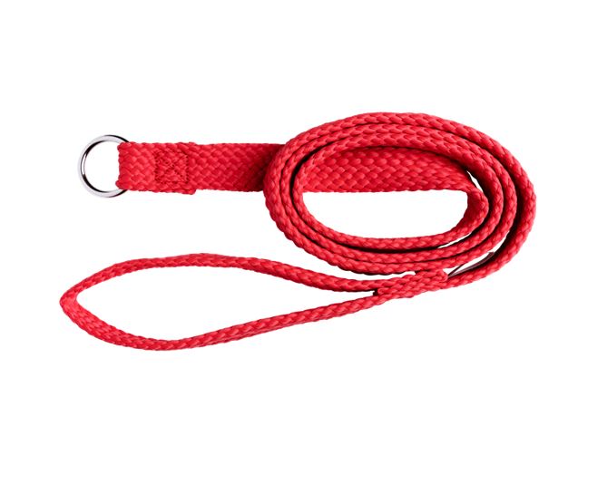Beau Pets – Double Nylon – Choker Lead