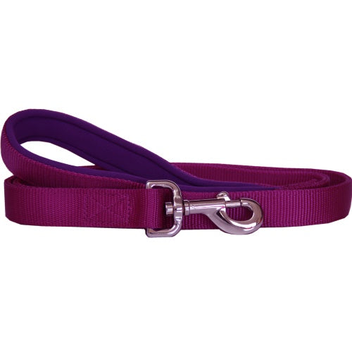Beau Pets – Neoprene Handle – Nylon Lead