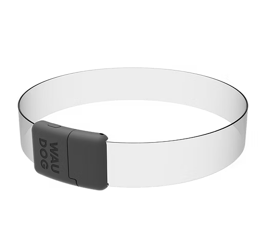 WAUDOG – LED Collar