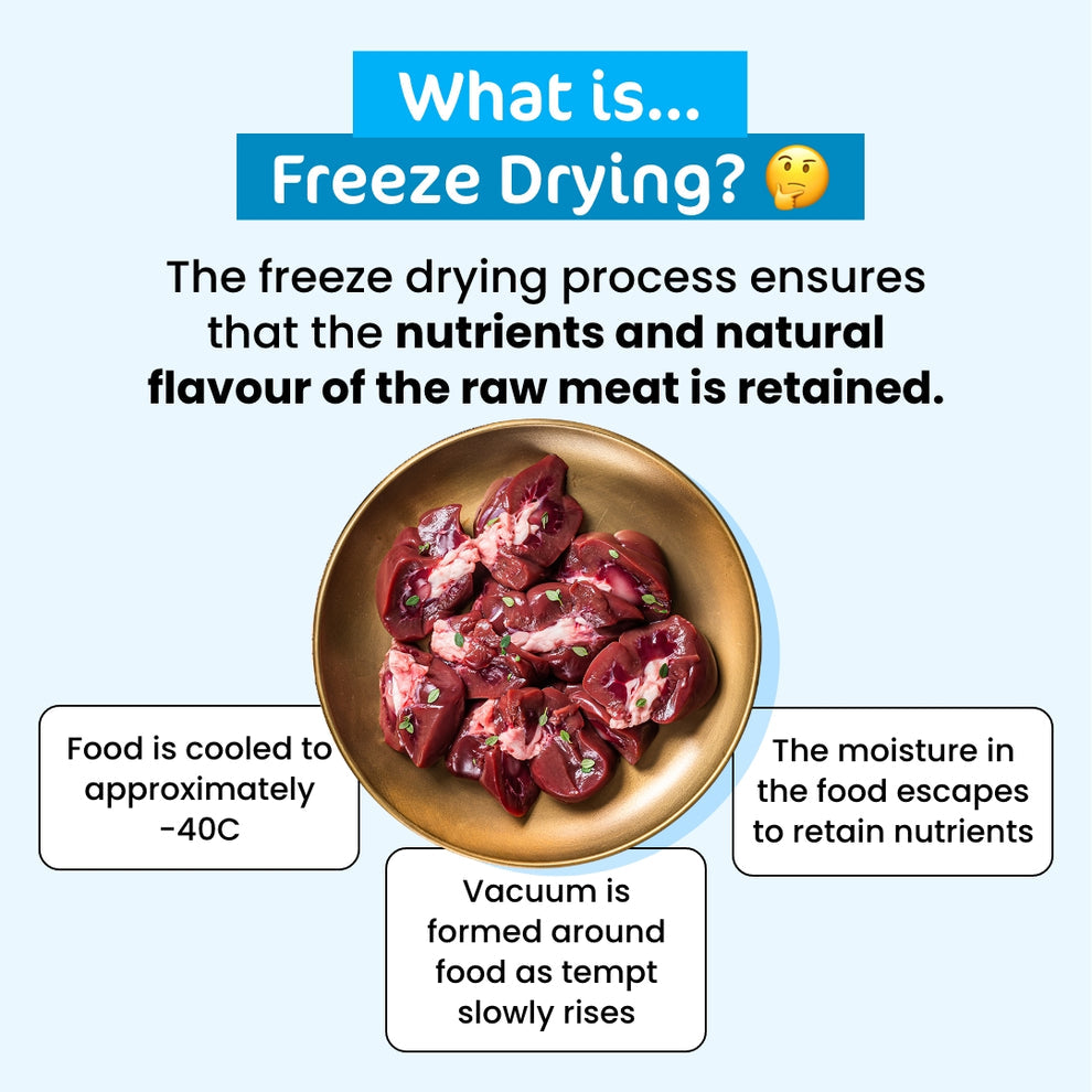 The Paw Grocer White Cat Freeze Dried Lamb Hearts 50G