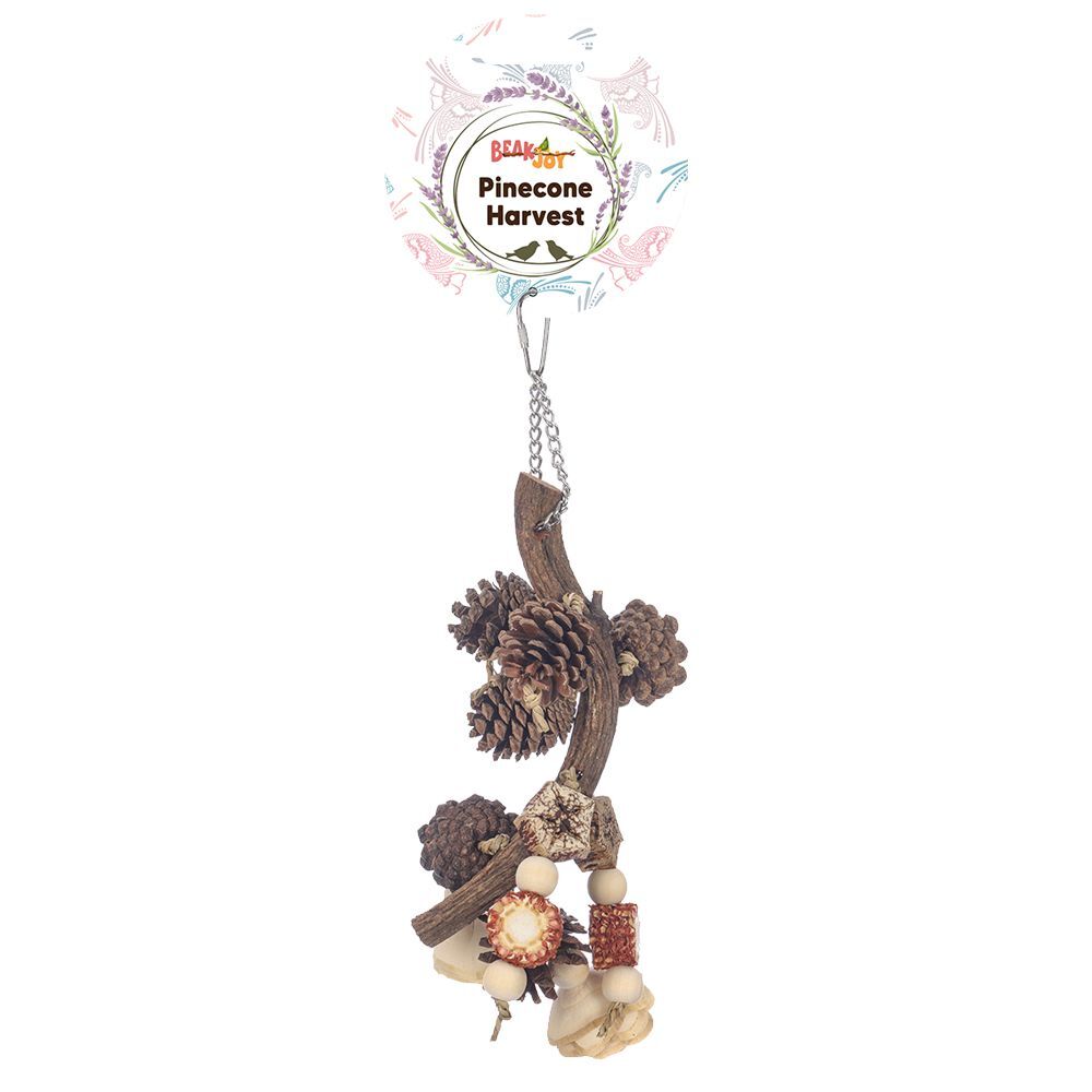 Beak Joy Pinecone Harvest
