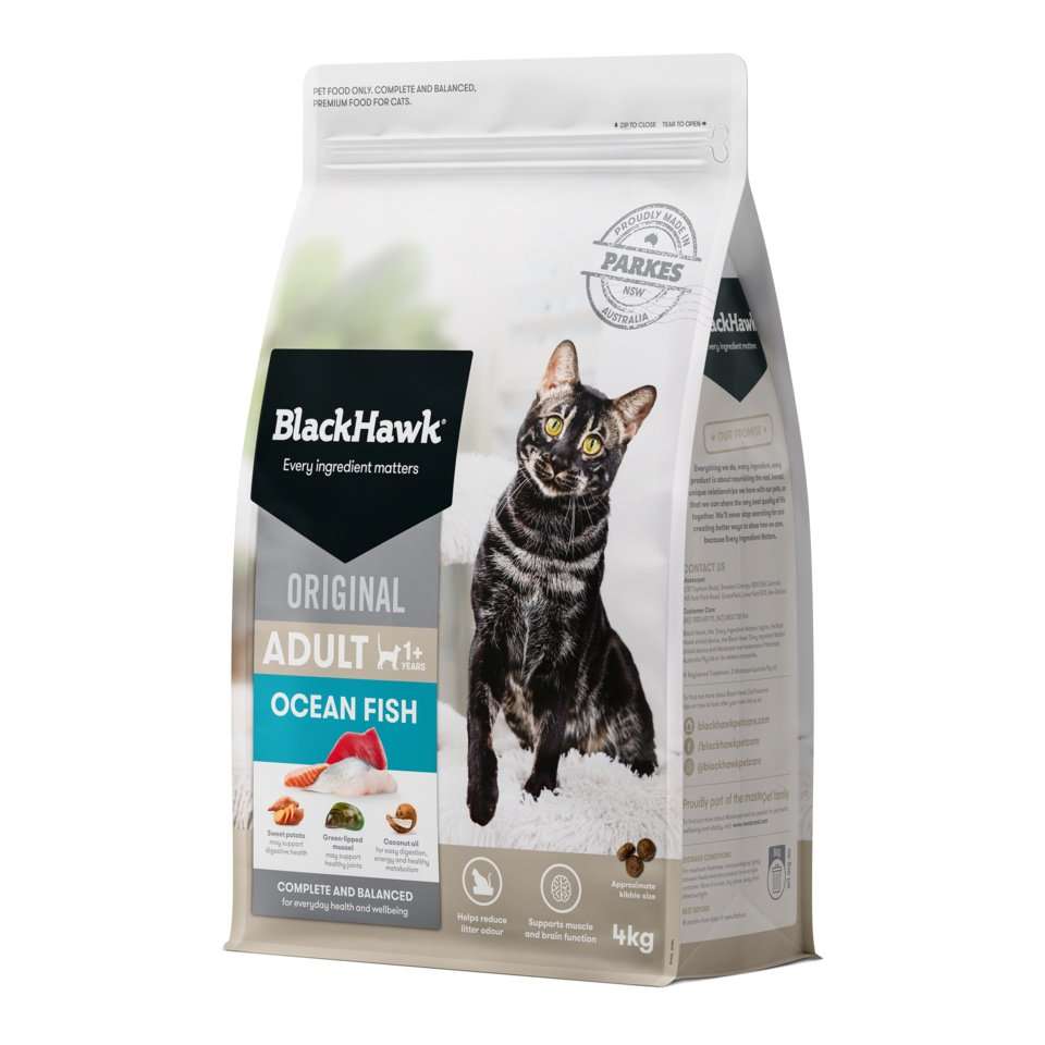 Black Hawk – Adult Cat – Ocean Fish
