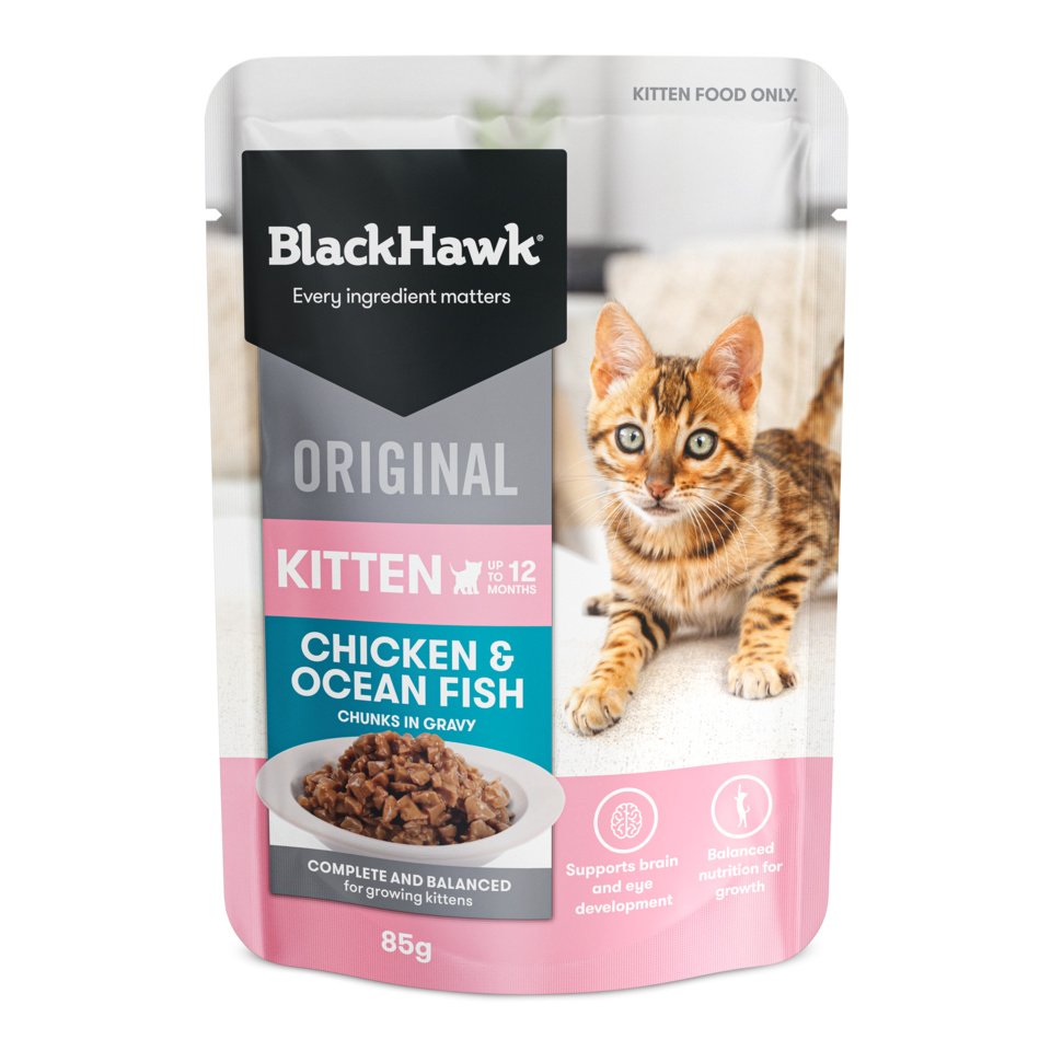 Black Hawk – Pouches – Kitten