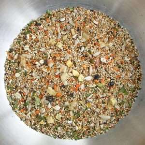 Birdzone – Budgie Blend