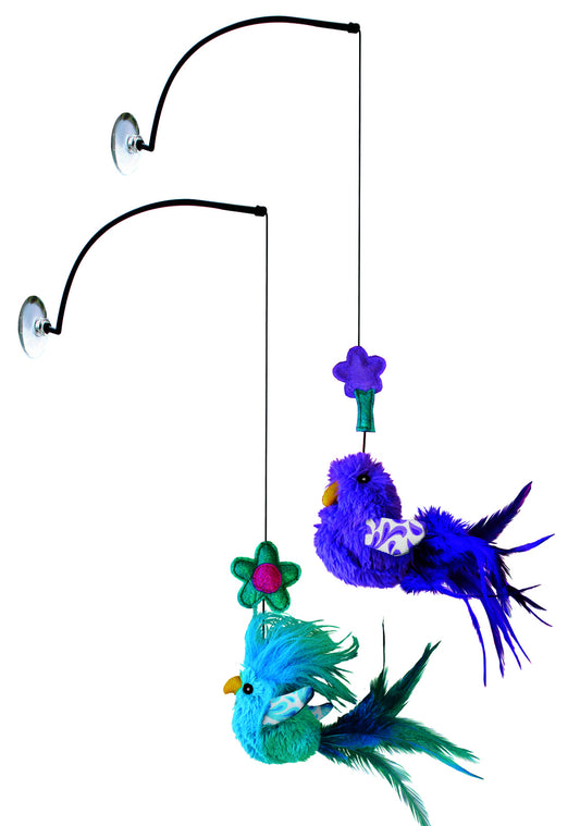 KONG Active Window Teaser