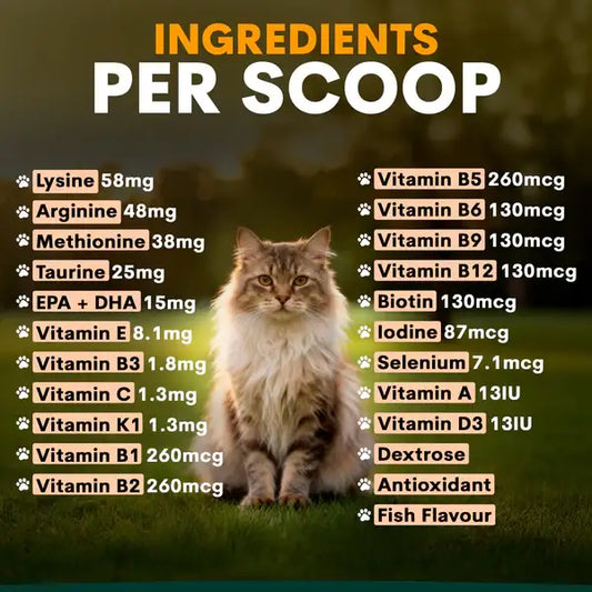 PetzPark – Multivitamin – For Cats