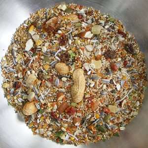 Birdzone – Conure Blend