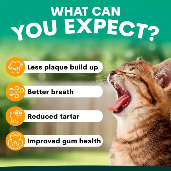 PetzPark – Plaque Control – For Cats