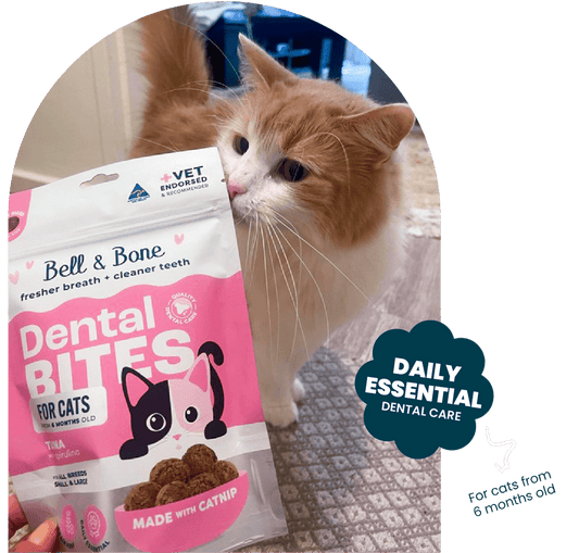 Bell & Bone Cat Dental Bites 80G