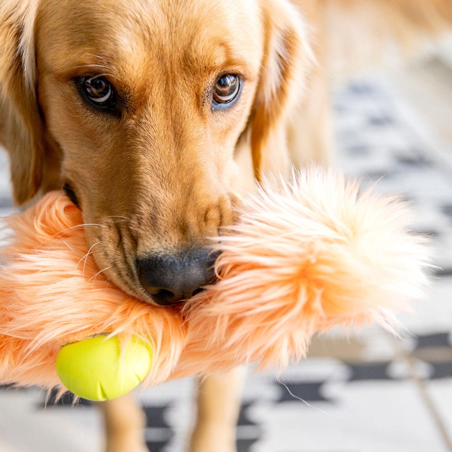 West Paw Rowdies Plush Olaf