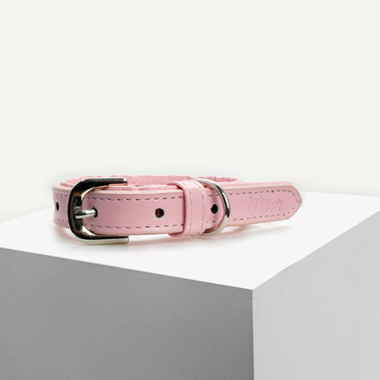 Dan & Sam – Dog Collars – Vegan Leatherxx