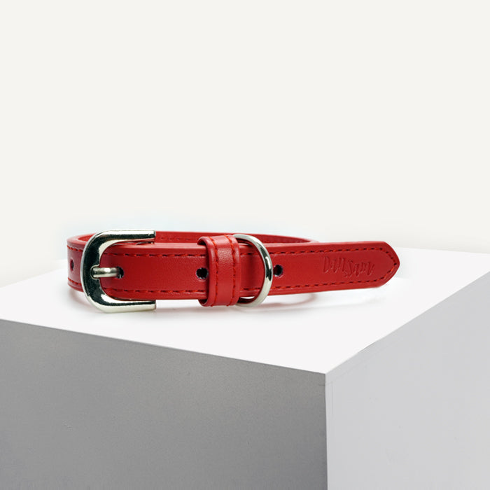 Dan & Sam – Dog Collars – Vegan Leatherxx