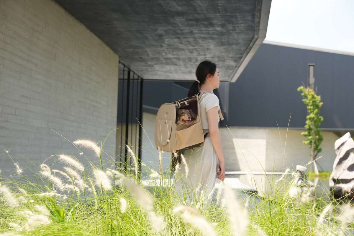Ibiyaya The Loafer Pet Backpack Carrier