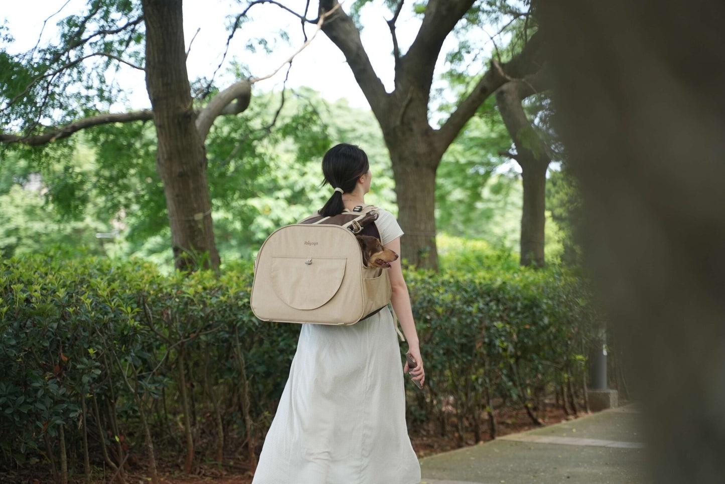 Ibiyaya The Loafer Pet Backpack Carrier