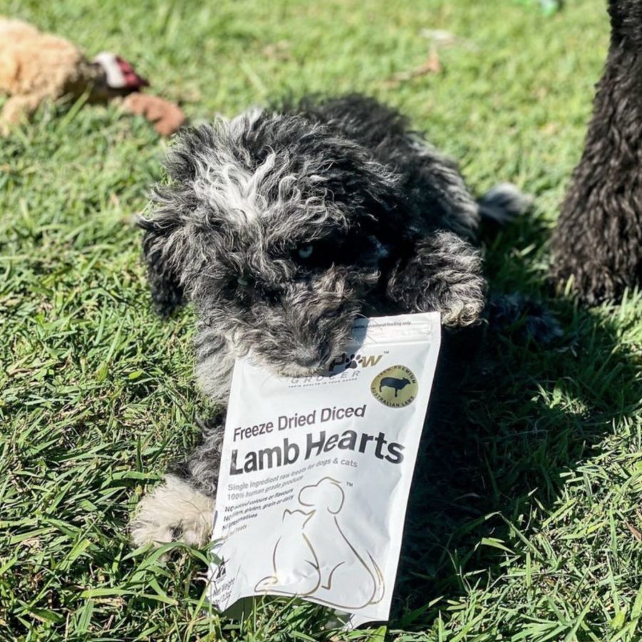 The Paw Grocer White Freeze Dried Lamb Heart Treats 90G