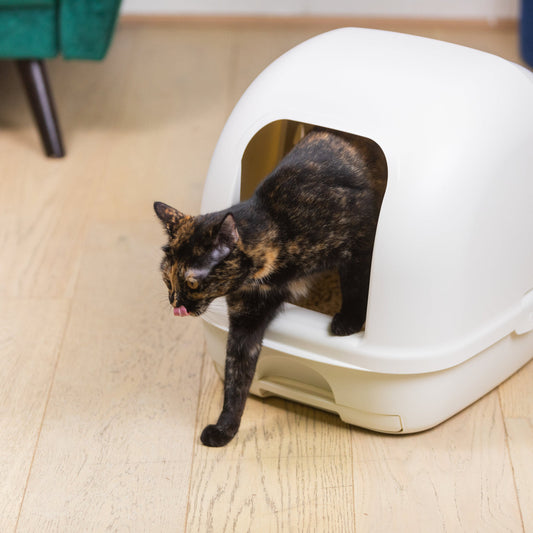 Ezi-Lockodour Dual Layer Cat Litter System Hooded