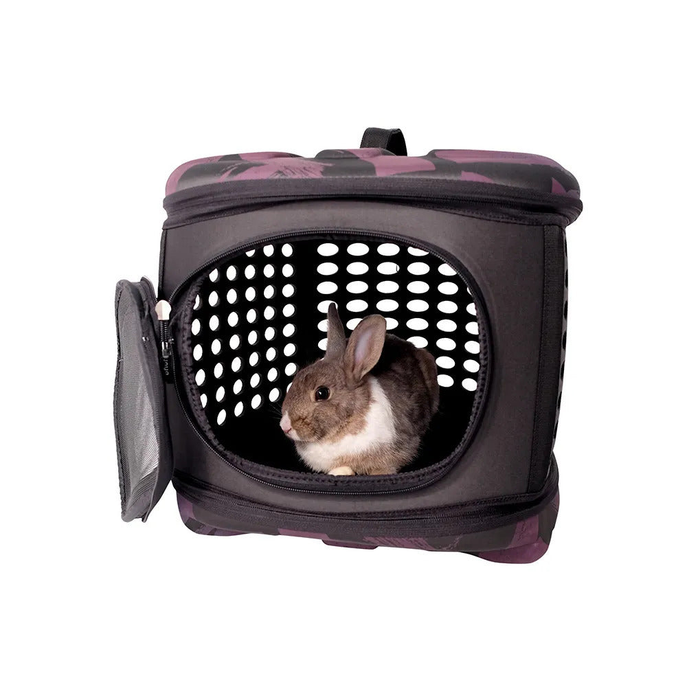 Ibiyaya Collapsible Travelling Pet Carrier for Cats & Dogs