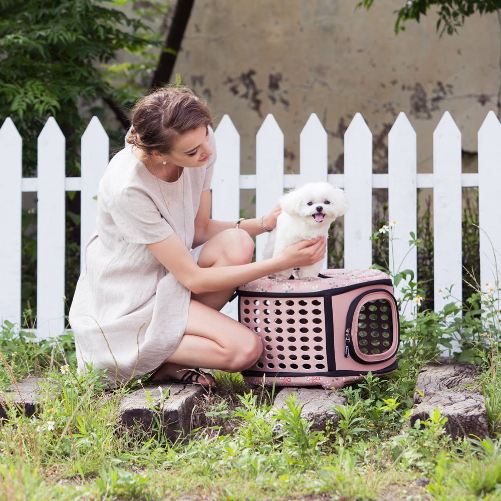 Ibiyaya Collapsible Travelling Pet Carrier for Cats & Dogs