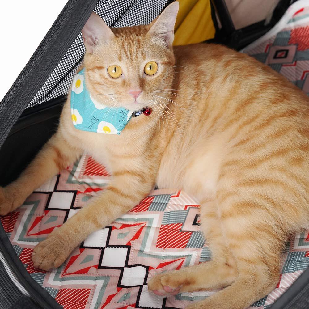 Ibiyaya EcoPaws Reusable Pet Underpad (M)- Nordic Fusion