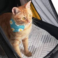 Ibiyaya EcoPaws Reusable Pet Underpad (M)- Nordic Fusion