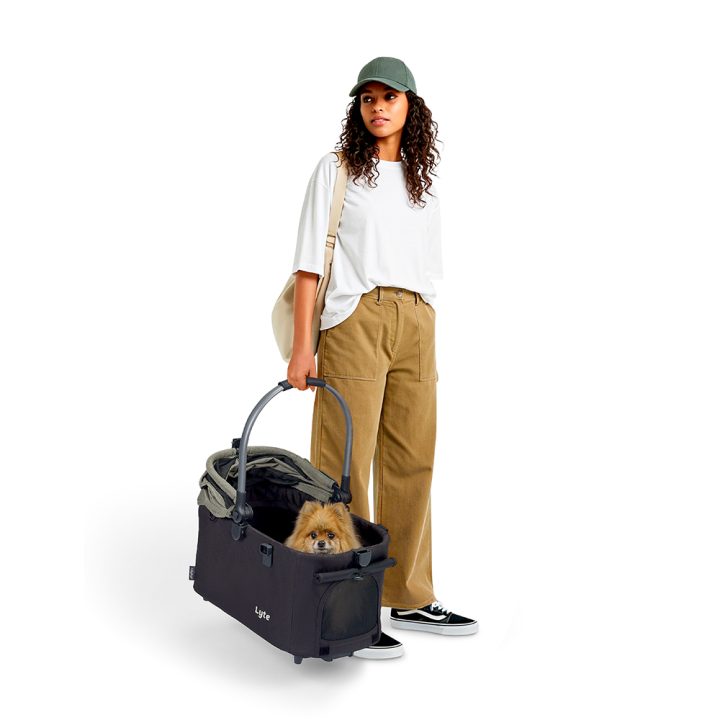 Ibiyaya Lyte 3-In-1 Detachable Pet Stroller Medium - Green