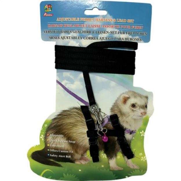 Percell – Guinea Pig Harness