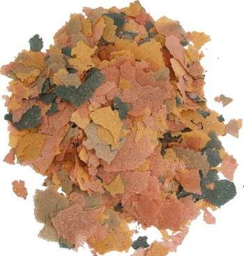 Feedwell – Goldfish Flakes