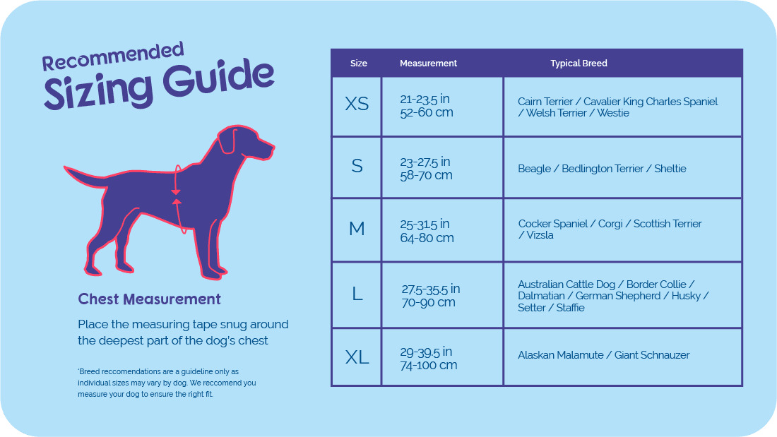 Company of Animals – Halti – Comfy Harness