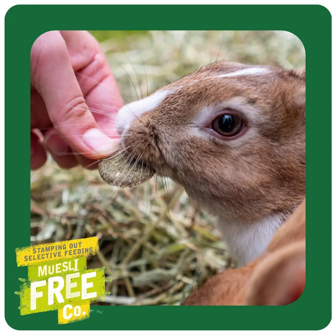 Burgess Excel – Nature Snacks – Meadow Munchies