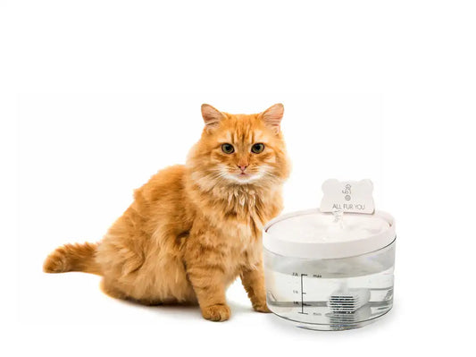 All Fur You Auto Sensor Water Fountain - USB - Its smart sensor activates when your pet approaches,
