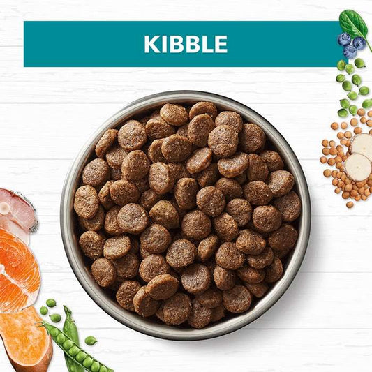 Ivory Coat - Dog - Grain Free - Salmon & Ocean Fish 2kg